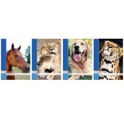 Bloc à dessin, format A4, 20 pages, 100 g/m2, perforé