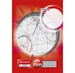 Blok ruitjespapier DIN A4 25 vellen 80 g/m²