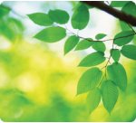 Tapis de souris Earth Series Fellowes motif feuilles