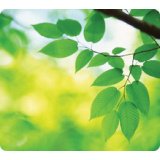 tapis souris recyclé, motif:feuilles, rectangulaire