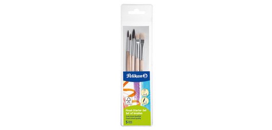 Kit de démarrage de pinceaux, 5 pièces