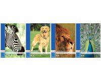 Tekenblok A3 100 g/m² 20 vellen geperforeerd