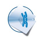 Etiquette d'expédition SPECIAL, 99,1 x 93,1 mm