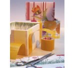 Ruban adhésif double face extra strong Tesa - 38 mm x 2,75 m