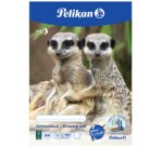 Bloc à dessin C 4/10, A4, 100 g/m2, 10 feuilles