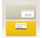 QuickPEEL Etiquette d'adresse, 99,1 x 38,1mm