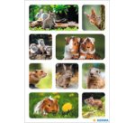 sticker DECOR 'hérisson'