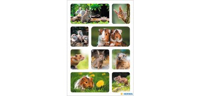 sticker DECOR 'hérisson'