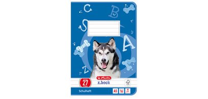 Cahier scolaire x.book, A5, linéature 4