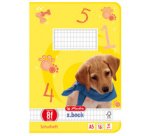 Cahier x.book, A5, linéature 5 / quadrillé