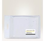 AVERY étiquettes d'expédition, ultra résistante, 199,6x143,5