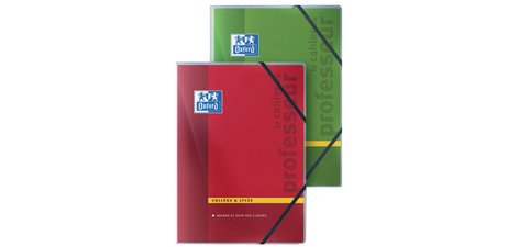 Cahier pour professeurs collège et lycée