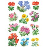 Autocollants DECOR 'Petites fleurs'