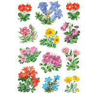 Autocollants DECOR 'Petites fleurs'