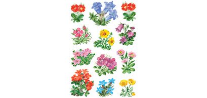 Autocollants DECOR 'Petites fleurs'