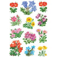 Autocollants DECOR 'Petites fleurs'