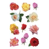 Sticker DECOR 'Boutons de rose multicolores'