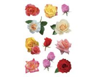 Sticker DECOR 'Boutons de rose multicolores'