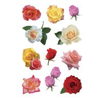 Sticker DECOR 'Boutons de rose multicolores'