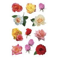 Sticker DECOR 'Boutons de rose multicolores'