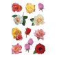 Sticker DECOR 'Boutons de rose multicolores'