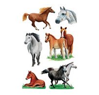 Sticker DECOR 'Races de chevaux'