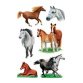 Sticker DECOR 'Races de chevaux'