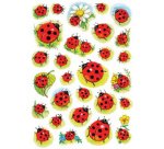Sticker DECOR 'Coccinelles'