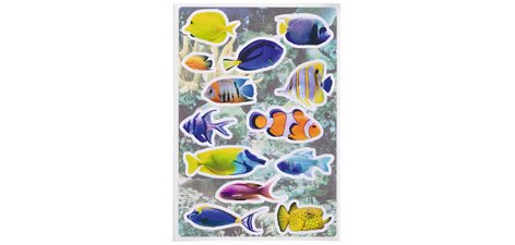 Sticker DECOR 'Grenouilles'