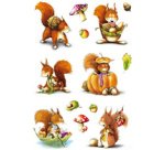 Sticker DECOR 'Ecureuils'