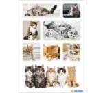 Stickers DECOR Joyeux chatons, papier
