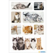 Autocollants DECOR 'Chatons'