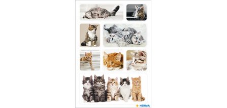 Stickers DECOR Joyeux chatons, papier