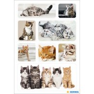 Autocollants DECOR 'Chatons'