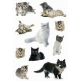 Autocollants DECOR 'Photos de chats'