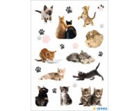 Autocollants DECOR 'Photos de chats'