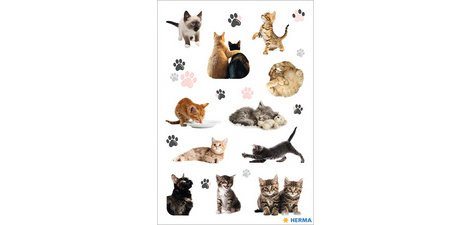 Autocollants DECOR 'Photos de chats'