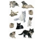 Autocollants DECOR 'Photos de chats'