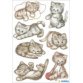 Autocollants DECOR 'Photos de chats'