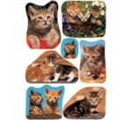 Autocollants DECOR 'Drôle de chaton'