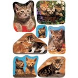 Autocollants DECOR 'Drôle de chaton'