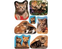 Autocollants DECOR 'Drôle de chaton'