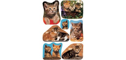 Autocollants DECOR 'Drôle de chaton'