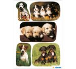 Autocollants DECOR 'Photos de chiots'