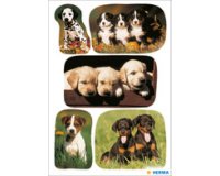 Autocollants DECOR 'Photos de chiots'