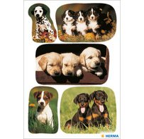 Autocollants DECOR 'Photos de chiots'