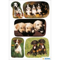 Autocollants DECOR 'Photos de chiots'