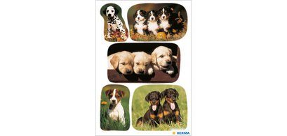 Autocollants DECOR 'Photos de chiots'