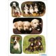 Autocollants DECOR 'Photos de chiots'