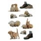 Autocollants DECOR 'Chiots'